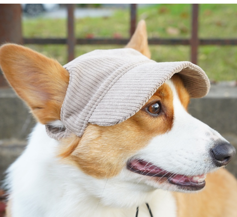 Chapeau pour Chien en Velours – Protection Solaire