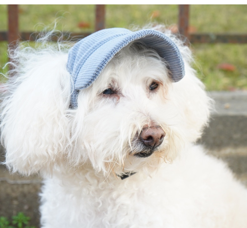 Chapeau pour Chien en Velours – Protection Solaire