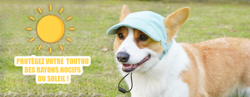 chapeau pour chien en velours côtelé-1