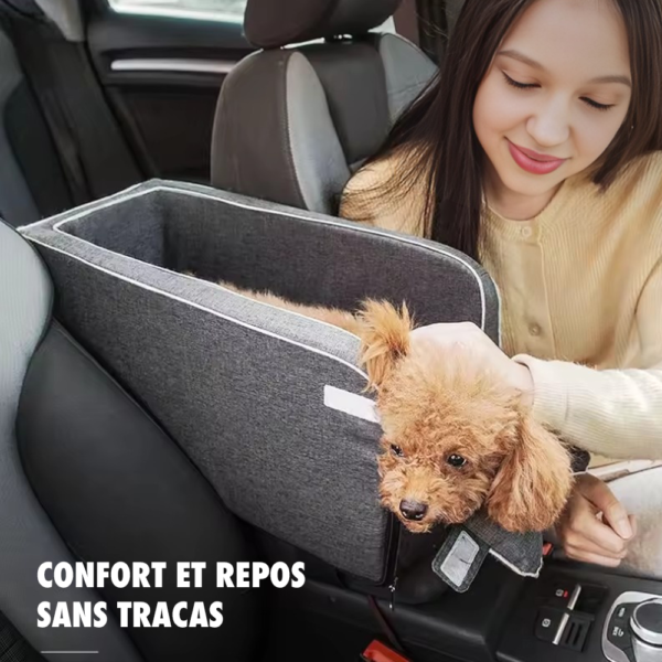 Siège auto et porte-chien portable