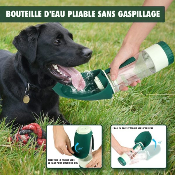 Bouteille d’eau portable pour chieN