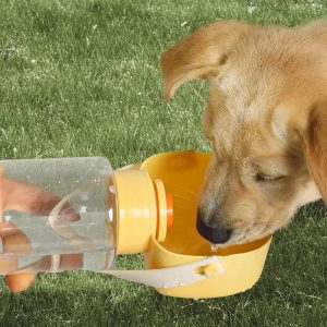 Bouteille d'eau et mangeoire portable 2 en 1 pour animaux