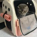 Sac de Transport pour Chat, Chien, Rongeur