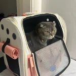 Sac de Transport pour Chat, Chien, Rongeur - Voyage en Toute Sécurité