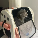 Sac de Transport pour Chat, Chien, Rongeur - Voyage en Toute Sécurité