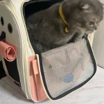 Sac de Transport pour Chat, Chien, Rongeur - Voyage en Toute Sécurité